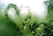 柏林联合对阵奥格斯堡，这场德甲较量最终比分会是多少？